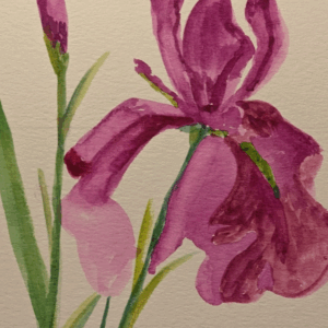 Watercolor Painting Basics Class with Rosellyn Grohol Saturday 03/07 2:30-4:00