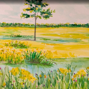 Watercolor Painting Basics Class with Rosellyn Grohol Sunday 07/12 12:30-2:00